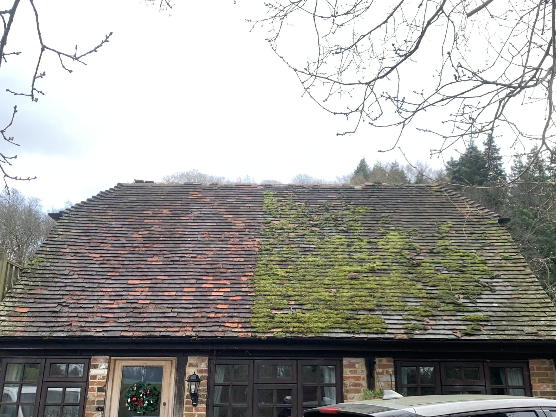 Moss covered roof before cleaning