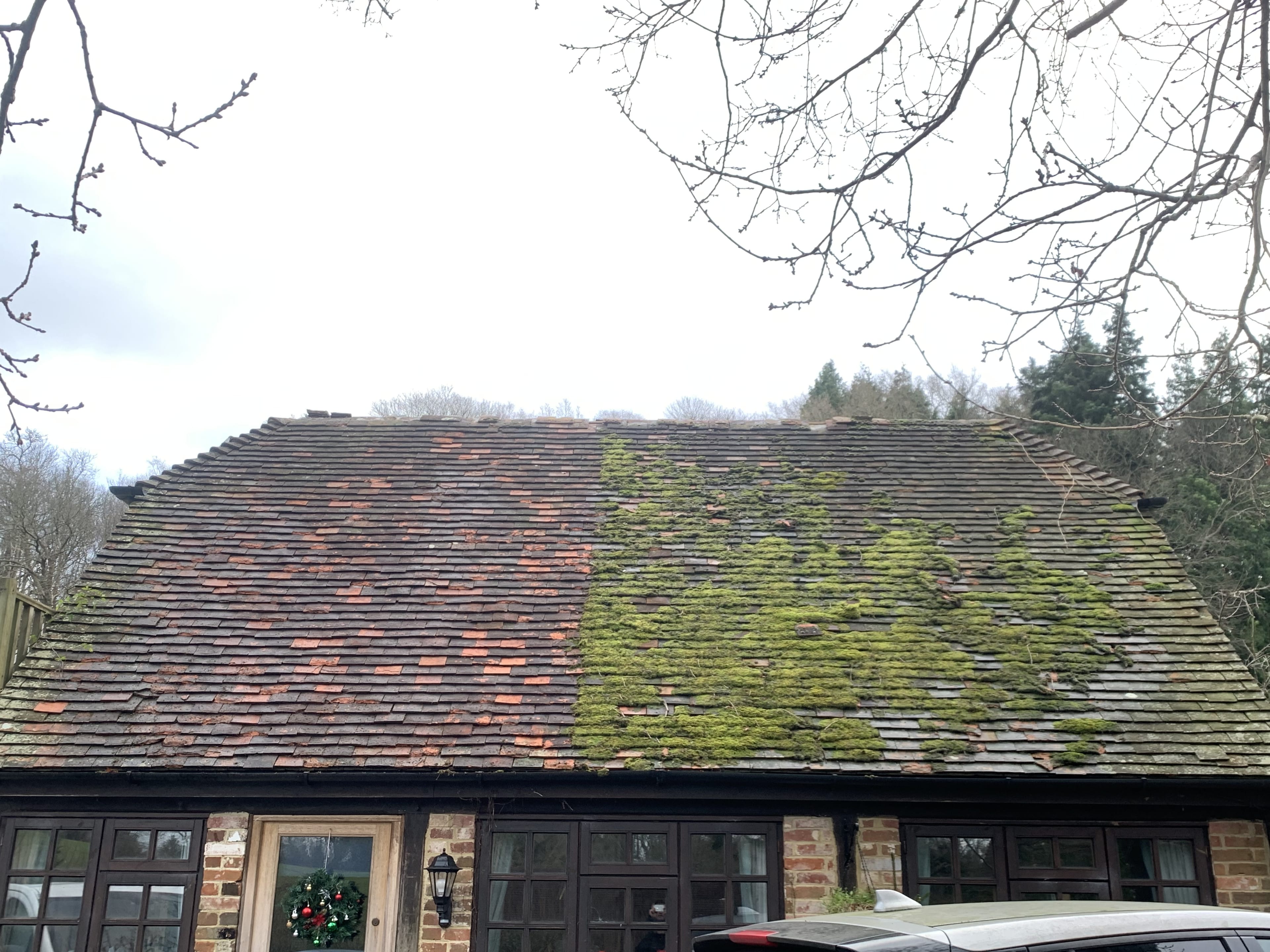 Moss Removal & Roof Cleaning