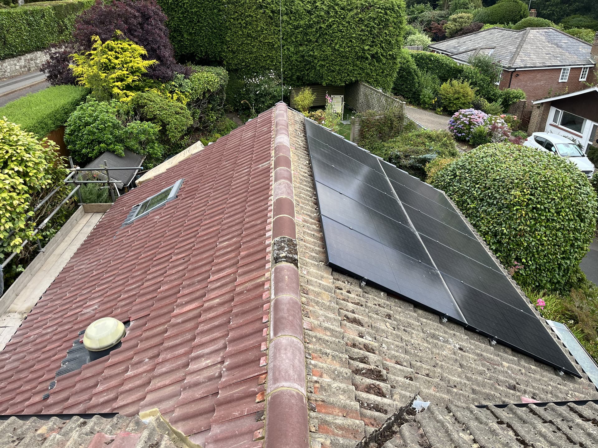 Roof Bird Proofing