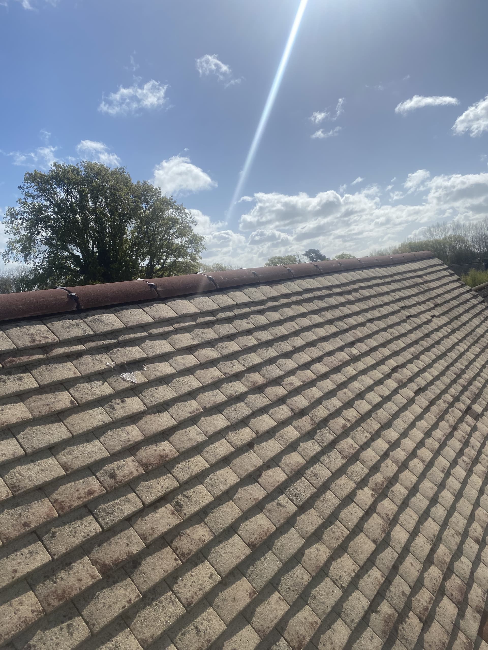 Bird Proofing