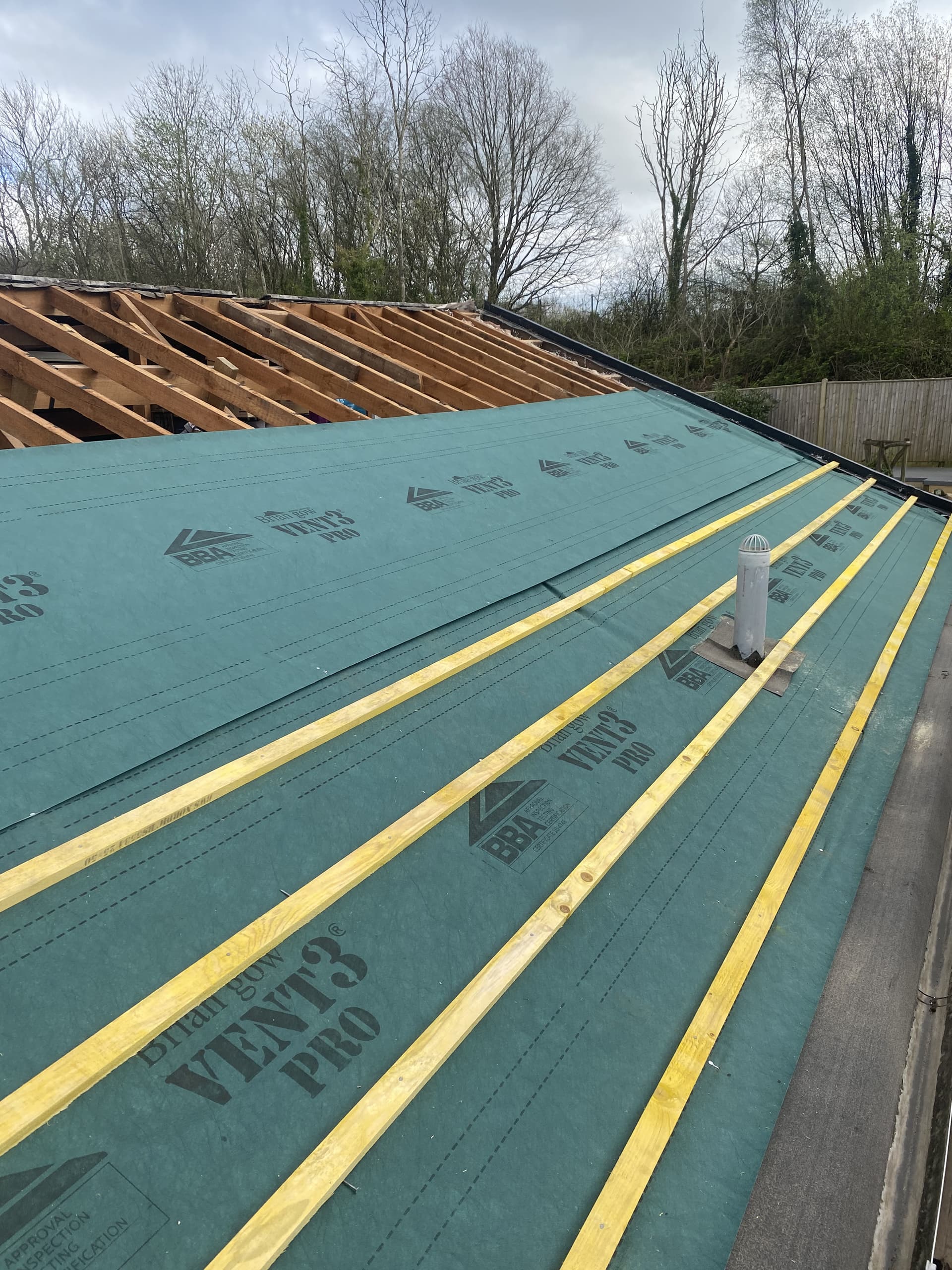 Loft & Insulation